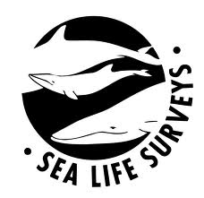 Sealife Surveys